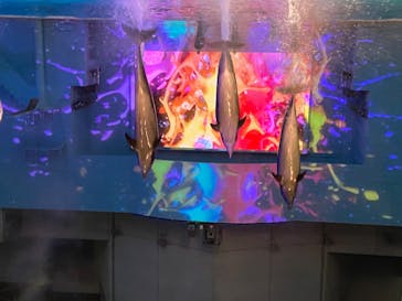 横浜・八景島シーパラダイスに投稿された画像（2020/8/10）