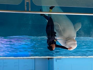 横浜・八景島シーパラダイスに投稿された画像（2020/8/10）