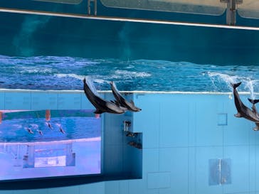 横浜・八景島シーパラダイスに投稿された画像（2020/8/10）