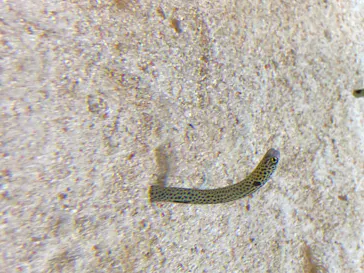 すみだ水族館に投稿された画像（2020/8/10）