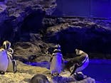 すみだ水族館に投稿された画像（2020/8/10）
