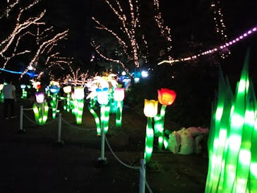 としまえんに投稿された画像（2020/8/10）