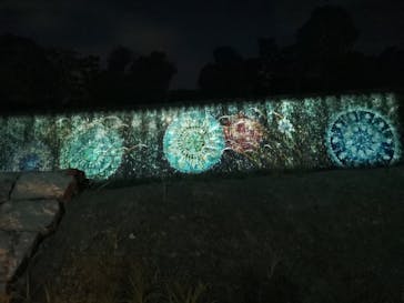 二条城×ネイキッド 二条城夏まつり2021に投稿された画像（2020/8/10）