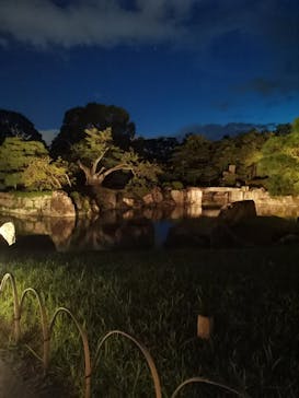 二条城×ネイキッド 二条城夏まつり2021に投稿された画像（2020/8/10）