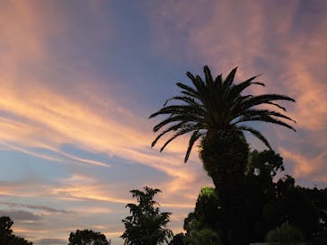 としまえんに投稿された画像（2020/8/10）