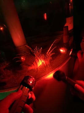 南知多ビーチランド＆南知多おもちゃ王国に投稿された画像（2020/8/10）