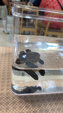 南知多ビーチランド＆南知多おもちゃ王国に投稿された画像（2020/8/10）