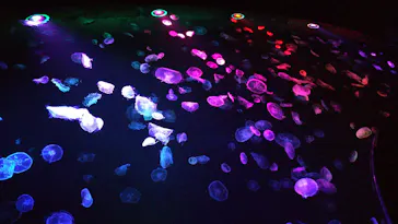 すみだ水族館に投稿された画像（2020/8/10）