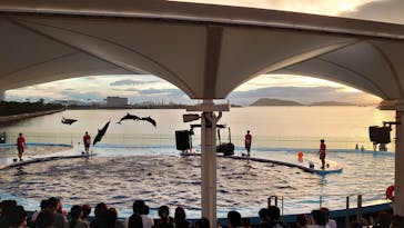 四国水族館に投稿された画像（2020/8/10）