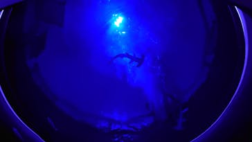 四国水族館に投稿された画像（2020/8/10）