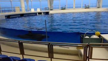 アクアワールド茨城県大洗水族館に投稿された画像（2020/8/10）