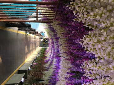 東京サマーランドに投稿された画像（2020/8/10）