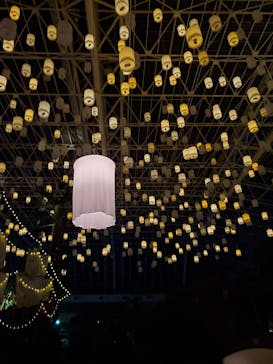 東京サマーランドに投稿された画像（2020/8/10）