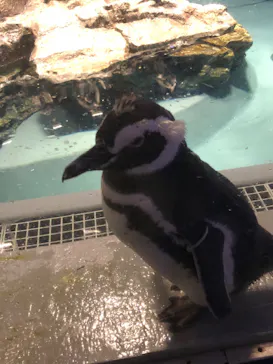 すみだ水族館に投稿された画像（2020/8/10）