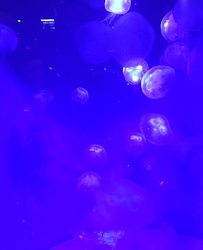 株式会社Gに投稿された画像（2020/8/10）