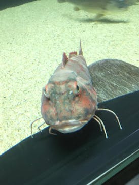 株式会社Gに投稿された画像（2020/8/10）