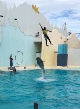 株式会社Gに投稿された画像（2020/8/10）