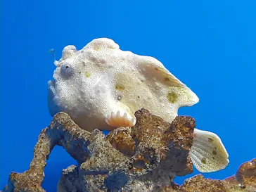 仙台うみの杜水族館に投稿された画像（2020/8/11）