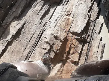 仙台うみの杜水族館に投稿された画像（2020/8/11）
