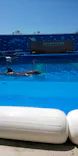 仙台うみの杜水族館に投稿された画像（2020/8/11）