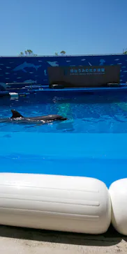 仙台うみの杜水族館に投稿された画像（2020/8/11）