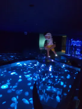 すみだ水族館に投稿された画像（2020/8/11）