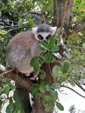 神戸どうぶつ王国に投稿された画像（2020/8/11）