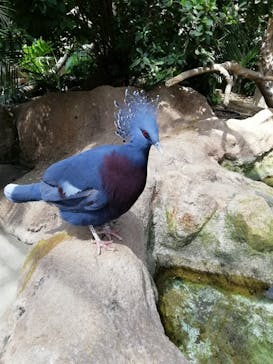 神戸どうぶつ王国に投稿された画像（2020/8/11）