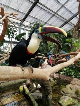 神戸どうぶつ王国に投稿された画像（2020/8/11）