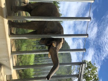 しろとり動物園に投稿された画像（2020/8/11）