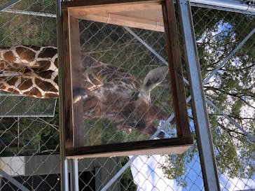 しろとり動物園に投稿された画像（2020/8/11）