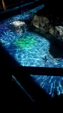 すみだ水族館に投稿された画像（2020/8/11）