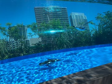 サンシャイン水族館に投稿された画像（2020/8/11）