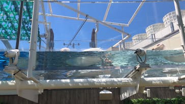 サンシャイン水族館に投稿された画像（2020/8/11）