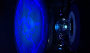 新江ノ島水族館に投稿された画像（2020/8/11）