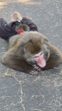 としまえんに投稿された画像（2020/8/11）