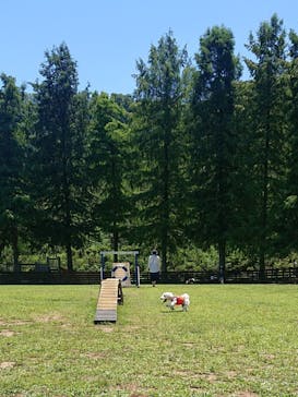 わんダフルネイチャーヴィレッジに投稿された画像（2020/8/11）