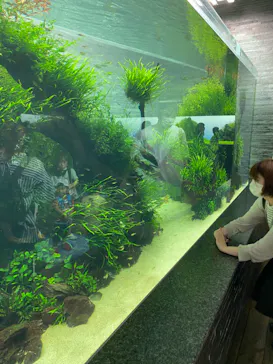 すみだ水族館に投稿された画像（2020/8/11）