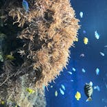 株式会社Gに投稿された画像（2020/8/11）