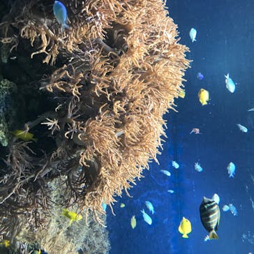 株式会社Gに投稿された画像（2020/8/11）