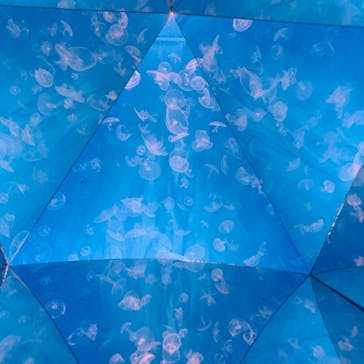 横浜・八景島シーパラダイスに投稿された画像（2020/8/11）