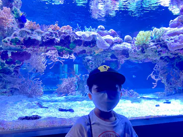 すみだ水族館に投稿された画像（2020/8/11）