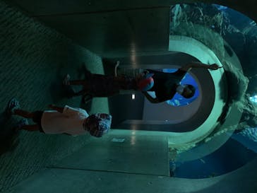 大分マリーンパレス水族館 「うみたまご」に投稿された画像（2020/8/11）