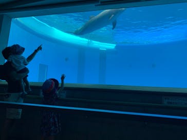 大分マリーンパレス水族館 「うみたまご」に投稿された画像（2020/8/11）