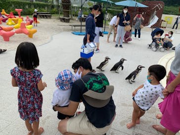 大分マリーンパレス水族館 「うみたまご」に投稿された画像（2020/8/11）