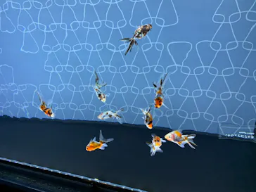 すみだ水族館に投稿された画像（2020/8/11）