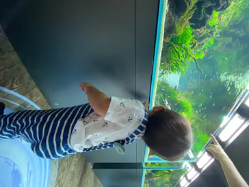 すみだ水族館に投稿された画像（2020/8/11）