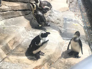 仙台うみの杜水族館に投稿された画像（2020/8/11）