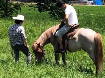 クリオステーブルに投稿された画像（2020/8/11）