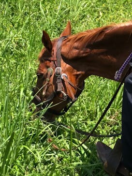 クリオステーブルに投稿された画像（2020/8/11）